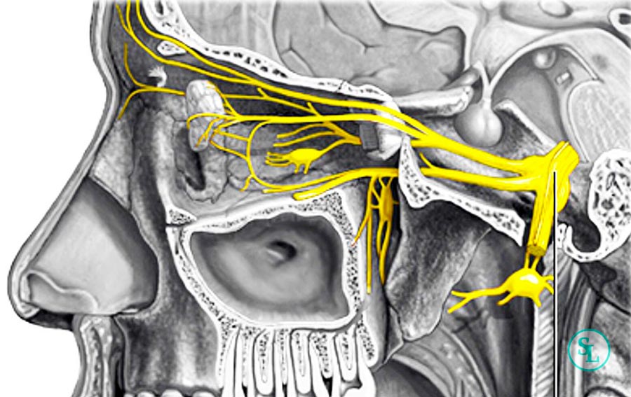 Gasser Gangliyon RFT